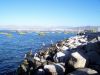 100_6473.JPG